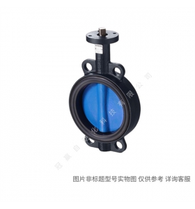 Siemens/西門子樓宇自動化 IBT:VVF47.80 二通法蘭閥PN16