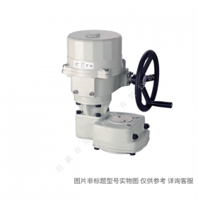 Siemens/西門子樓宇自動化 SQL361B6000電動執(zhí)行器