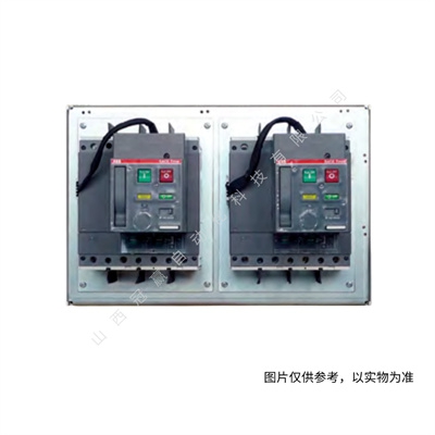ABB雙電源轉(zhuǎn)換開關(guān) OTM40E4C11D380C 10100595