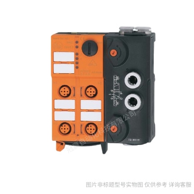 PA3020 PA3022 PA3028 PA3029易福門ifm壓力變送器